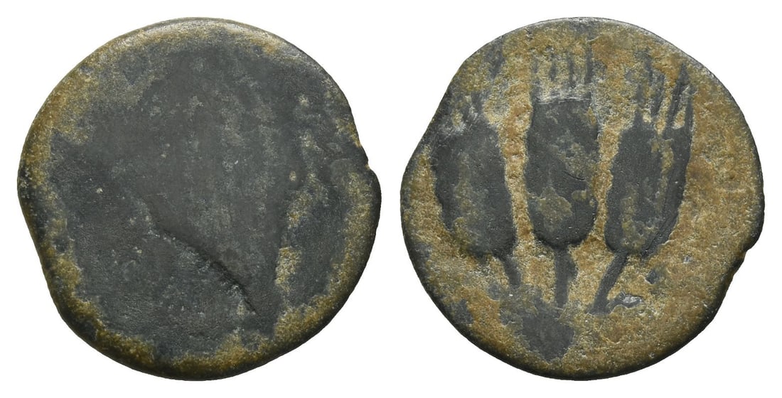 Judaea. Herodians, Agrippa I AE Prutah.: Dated RY 6 (41/2 CE). Jerusalem mint. [BACI???C A?PI?A, canopy] / Three ears of corn; [L ? (date) across fields]. RPC I, 4981; TJC 120; Hendin GBC 6, 6274; Hendin GBC 5, 1244; Sofaer 153-6. 1.55gr, 16
