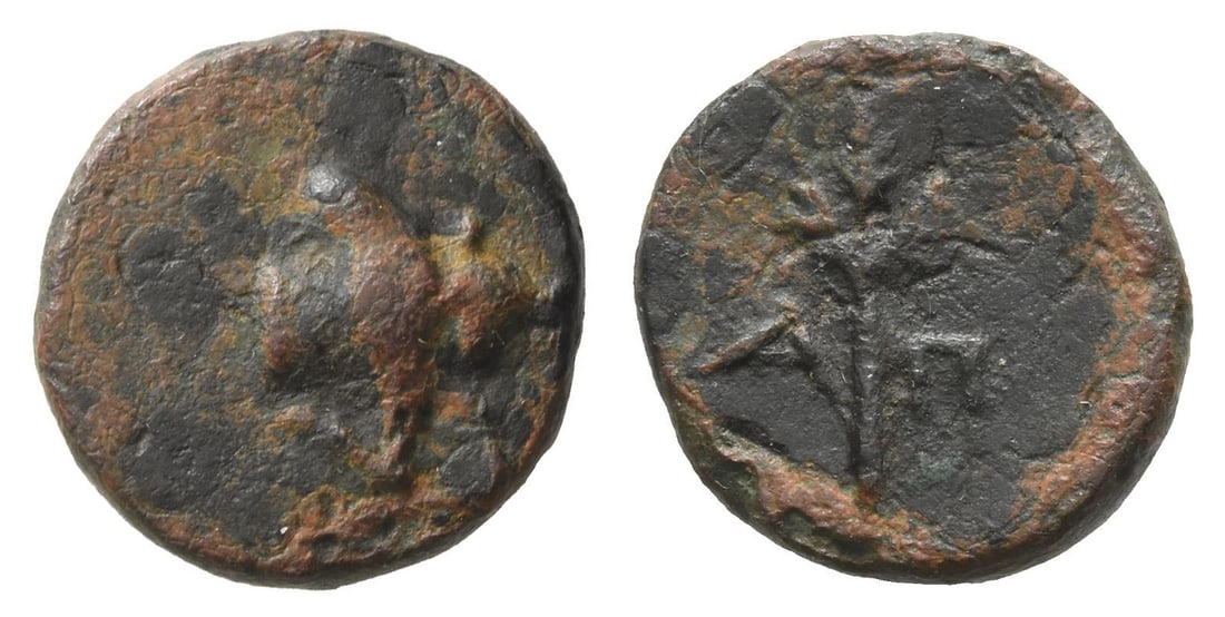 Asia Minor, Uncertain Mint AE 13mm.: Circa 2nd-1st century BC. Forepart of zebu butting to right / A-?, branch. 1.79gr, 13mm, 1h. Very Fine. Acquired on the European coin market. Property of a Kent, UK, gentleman. TimeLine Auctions follo