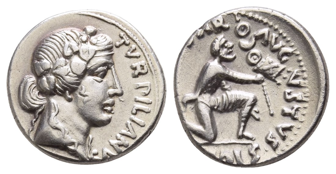 Augustus AR Denarius. (1 of 1)