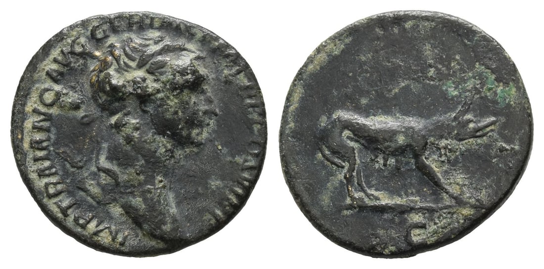 Trajan AE Quadrans.: AD 114-117. Rome mint. IMP TRAIANO AVG GER DAC P M TR P COS VI P P , laureate head to right / She-wolf at bay to right; S C below. RIC II 693; Cohen 339. 2.72gr, 18mm, 8h. Near Very Fine. Acquired on