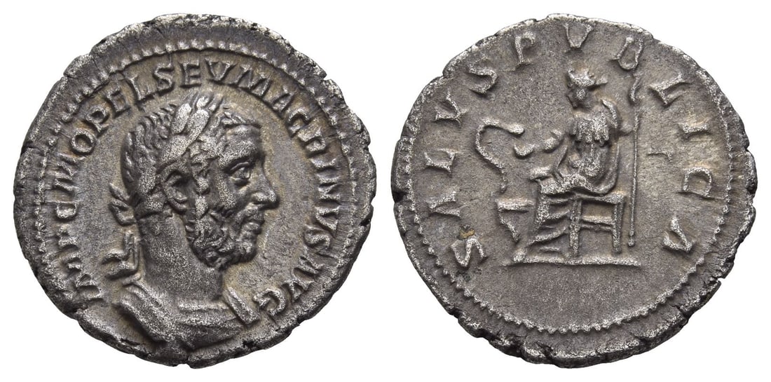 Macrinus AR Denarius.: Struck summer AD 217-early AD 218. Rome mint. IMP C M OPEL SEV MACRINVS AVG, laureate and cuirassed bust to right / SALVS PVBLICA, Salus seated to left, feeding serpent, rising from altar, out of
