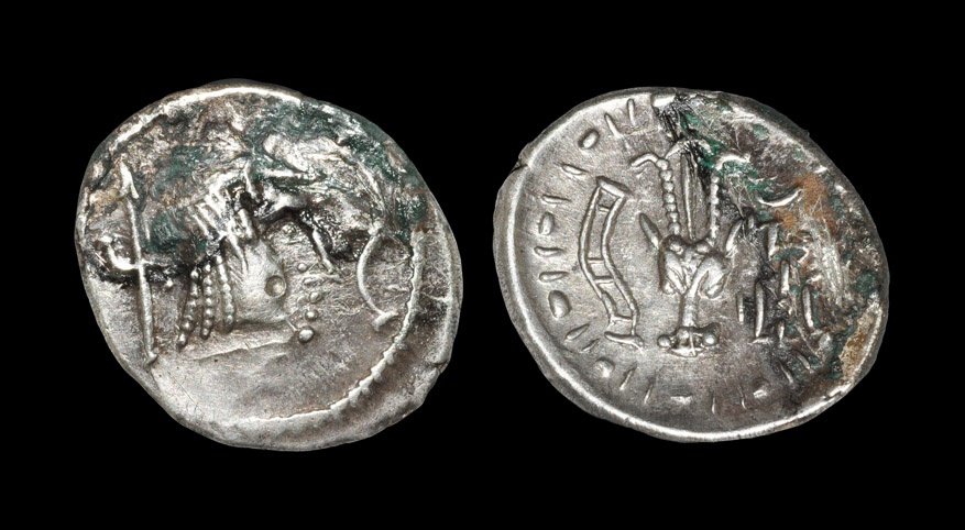 Ancient Greek Coins - Arabia - Himyarites - Bucranium: 1st century BC, anonymous. Obv: diademed male head right, hair in ringlets, spear behind head, crescent-like symbol before. Rev: bucranium with antelopes' horns, between horns single plume, curved sym
