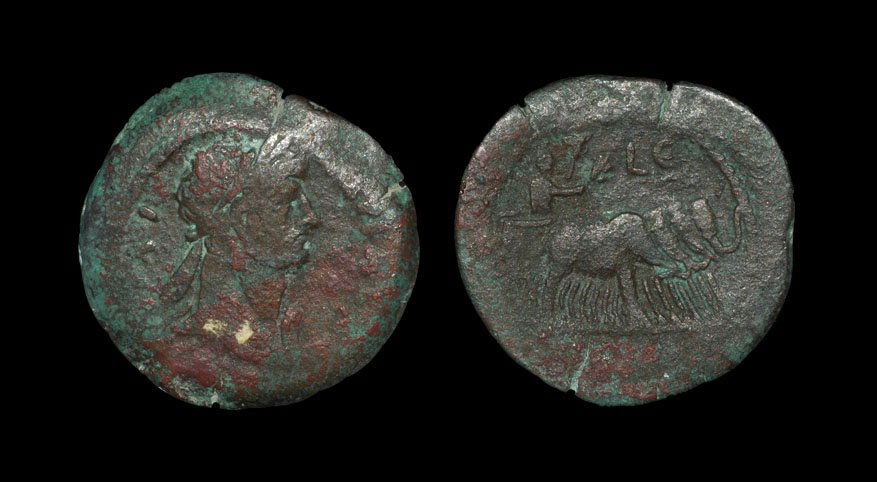Ancient Roman Provincial Coins - Hadrian - Alexandria -: . 120-121 AD, year 5. Obv: AVT KAI TRAI ADRIA CEB legend with laureate head right, slight drapery on left shoulder. Rev: LE legend above emperor, holding sceptre and branch, driving a quadriga of elep