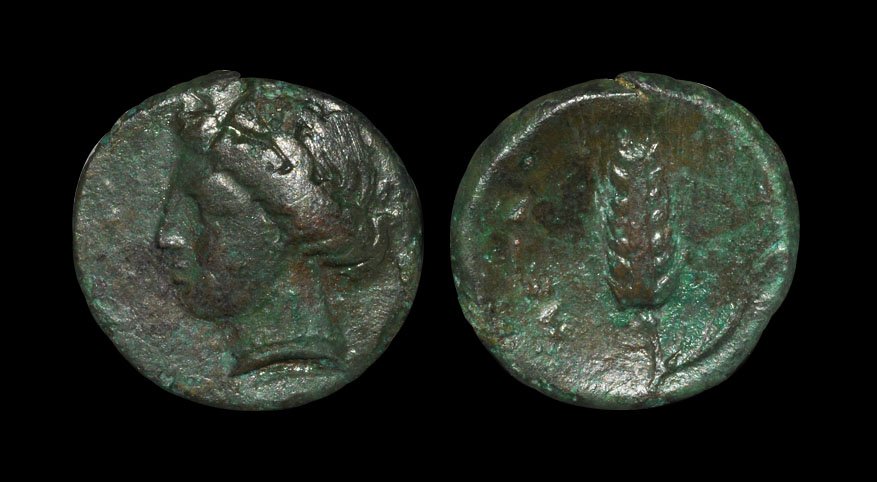 Ancient Greek Coins - Lucania - Metapontion - Grain Ear: . 350-300 BC. Obv: wreathed head of Demeter left. Rev: META legend with ear of barley with leaf on the right. HN Italy 1692; Johnston 56; BMC -; Sear 623 variant. 2.56 grams.Ex Walter Steinberg collec
