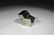 Geological Pyrite (Fool's Gold) Mineral Specimen