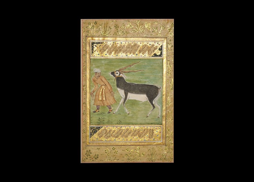 Indian Illuminated Manuscript Picture: 18th century AD. A hand-painted miniature scene depicting a nobleman with sash and spurs leading an ibex with halter and pendant to the neck, with panels of calligraphic text above and below; mounted 