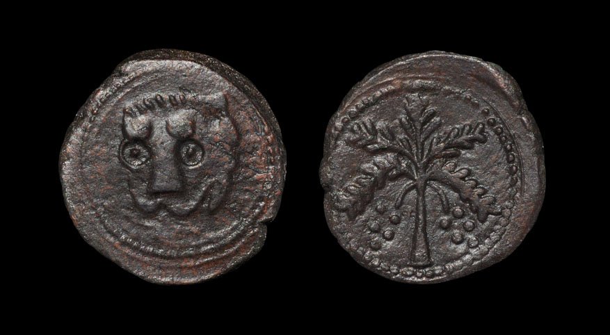 World Coins - Crusader States - Sicily - William II -: . 1166-1189 AD. Obv: lion head facing. Rev: palm tree. 10.59 grams. Cf. Spahr 117. [No Reserve]