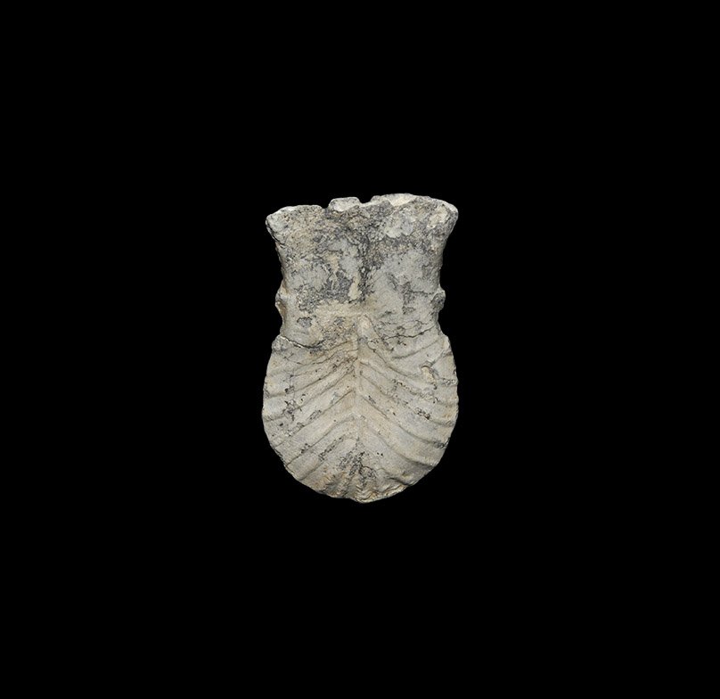 Medieval Pilgrim's Ampulla: 15th century AD. A lead-alloy pilgrim's ampulla, pouch-shaped with flared neck, scallop detailing to one face and chevrons to the other; attachment points for two lateral loops. 43 grams, 52mm (2"). F