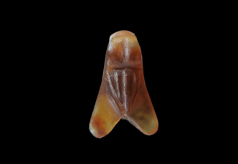 Egyptian Carnelian Fly Amulet: Middle Kingdom, 2133-1797 BC. A carved amuletic pendant in the form of a fly, pierced for suspension. 0.37 grams, 23mm (1"). From an important London collection, acquired in the 1970s. See Andrews, C.