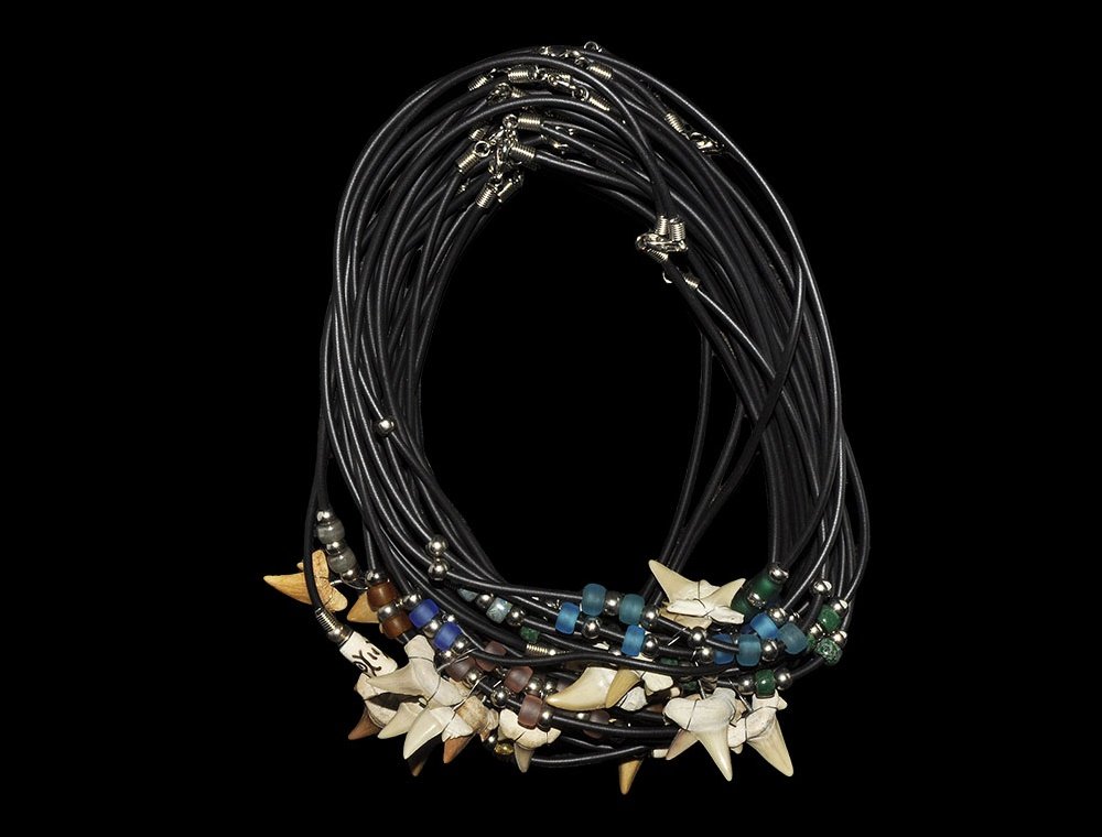 Natural History Fossil Otodus Shark Tooth Choker: Eocene, 55 million years BP. A group of choker necklaces each with a single Otodus sp. shark tooth held in wire support and strung with metal and variously coloured glass or composition beads. 359 gra