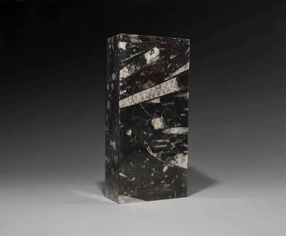 Natural History - Polished Orthoceras Fossil Block (1 of 1)