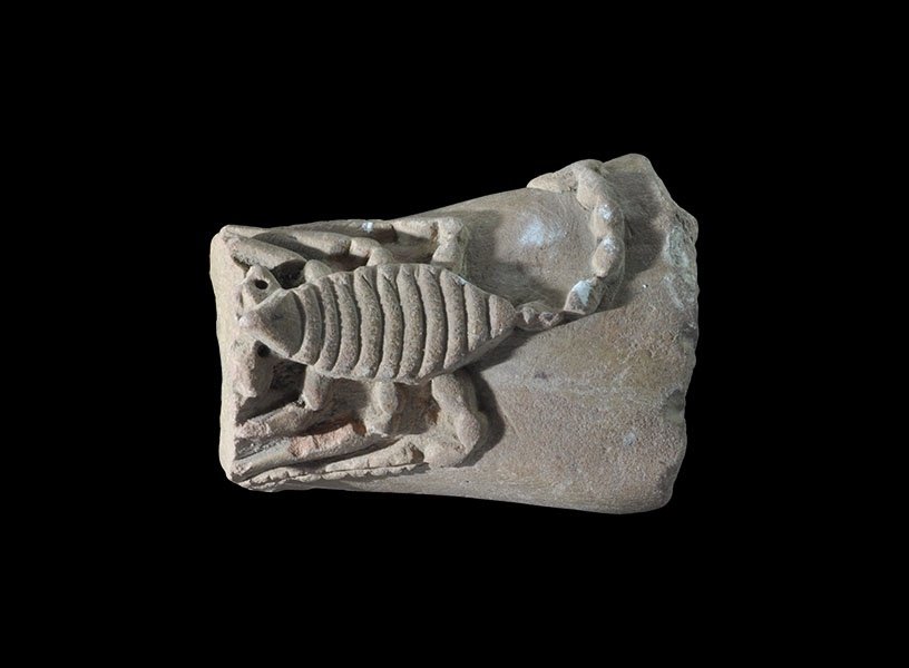 Egyptian Style Amphora Handle Fragment with Scorpion (1 of 1)