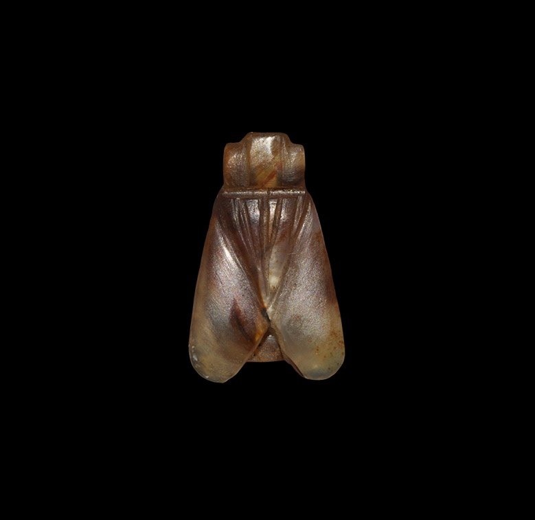 Egyptian Fly Amulet: New Kingdom, 1550-1077 BC. A carnelian amulet of a fly, wings folded back along the body, prominent eyes, lozenge shaped base; pierced through base. Acquired on the London art market prior to 1980. Se