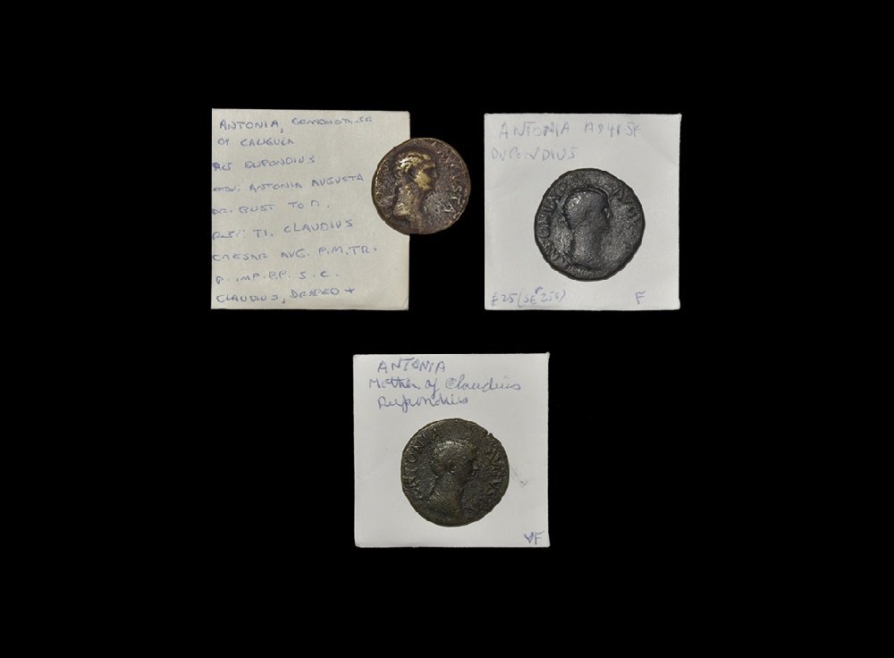 Ancient Roman Imperial Coins - Antonia (under Claudius) (1 of 1)