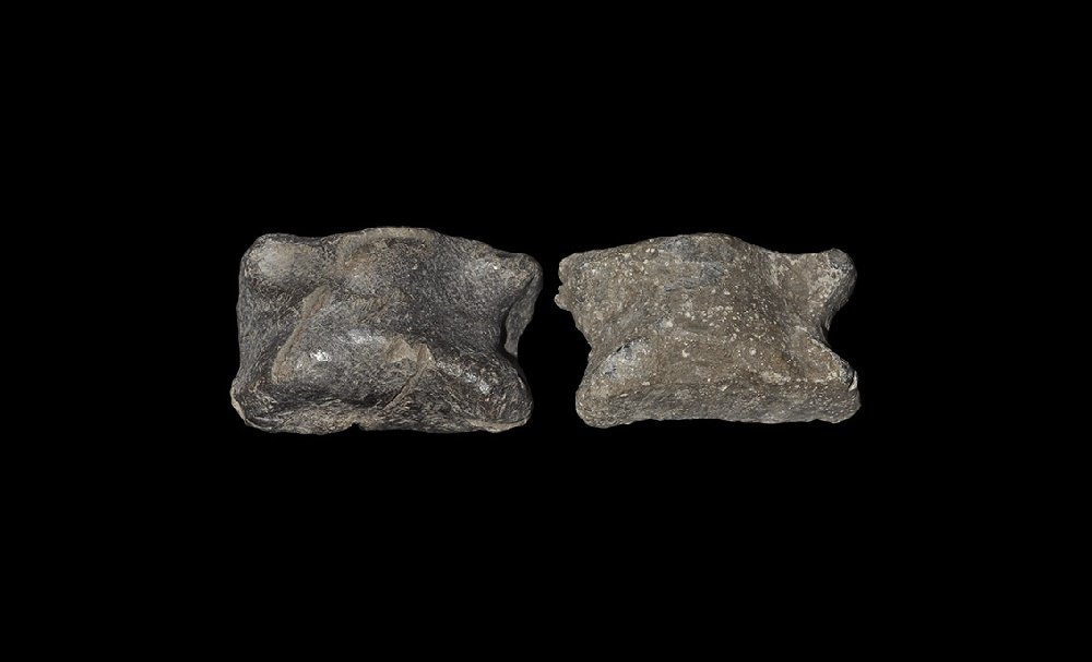 Roman Legionary 'Knuckle Bones' Gaming Piece Pair (1 of 1)