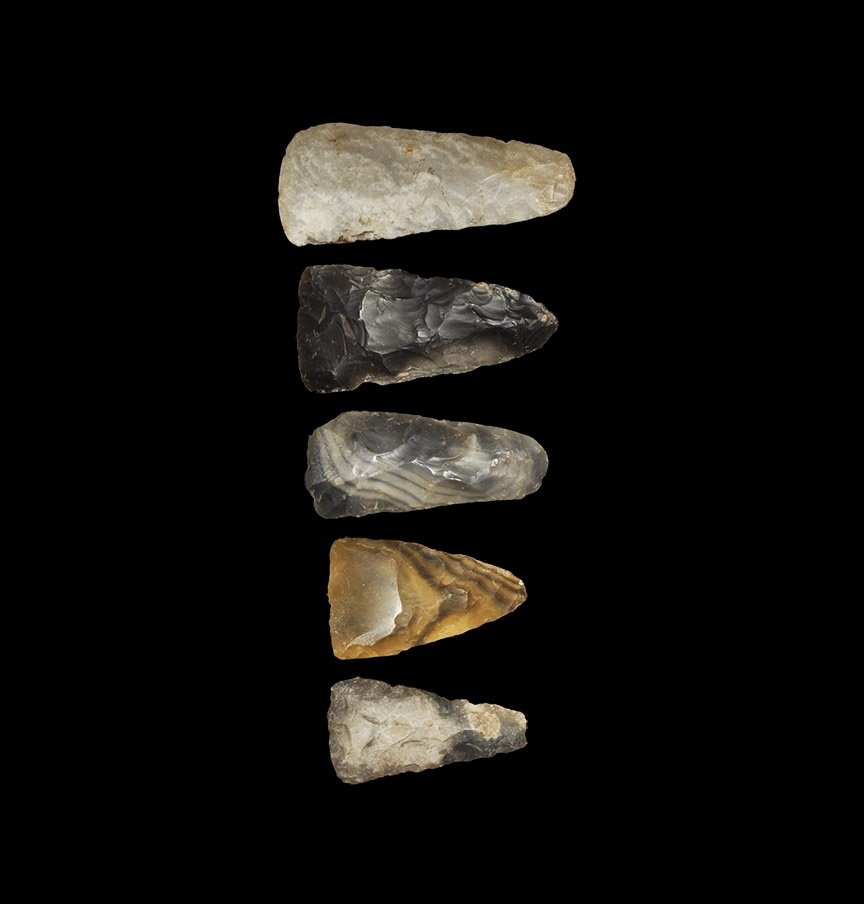 Stone Age Scandinavian Thin-Butted Axehead Group (1 of 1)