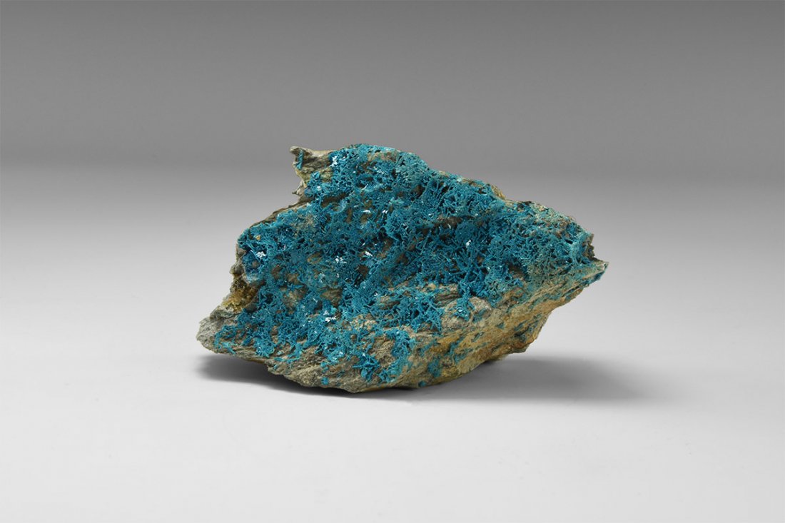 Natural History - Irish Langite Mineral Specimen (1 of 1)