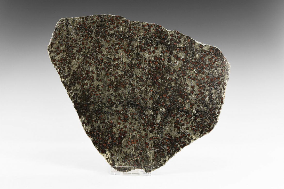 Natural History - Precious Ruby in Zoisite Polished (1 of 1)