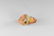 Natural History - Devon Barite Crystal Mineral Specimen