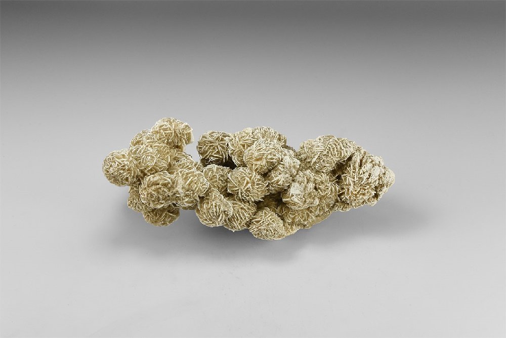 Natural History - Gypsum 'Desert Rose' Display Piece (1 of 1)