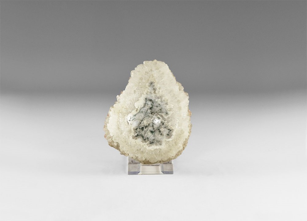 Natural History - Polished Agate Tray (1 of 1)