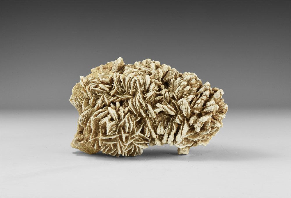 Natural History - Gypsum 'Frosted Desert Rose' Display (1 of 1)