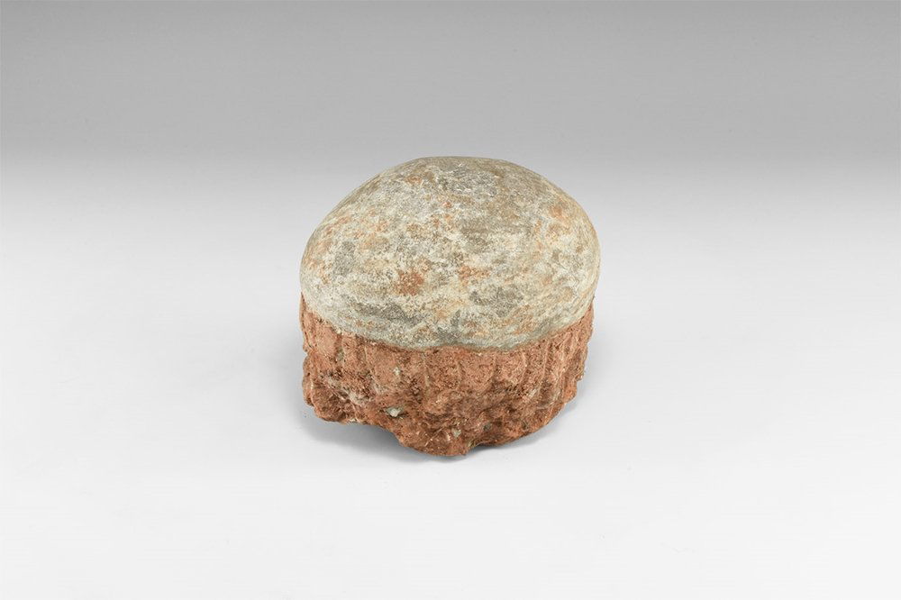 Natural History - Hadrosaur Fossil Dinosaur Egg (1 of 1)