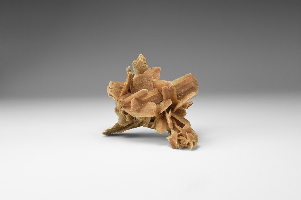 Natural History - 'Hourglass' Gypsum Desert Rose. (1 of 1)