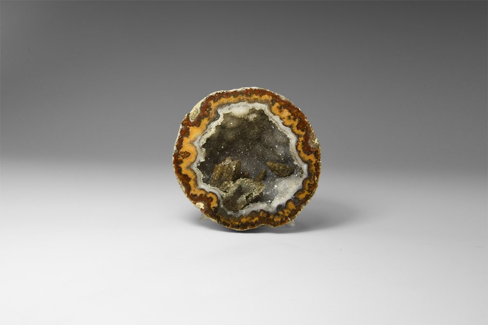 Natural History - 'Coconut' Geode Polished Half. (1 of 1)