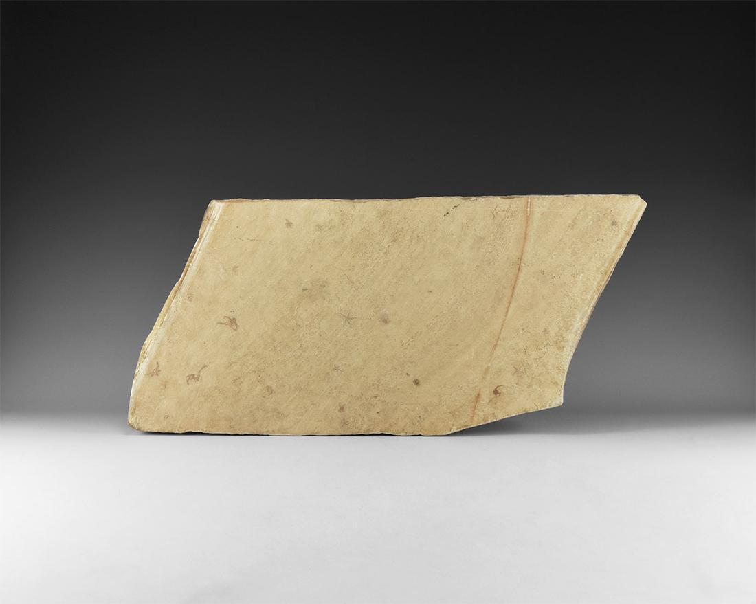 Germany Fossil Starfish Mortality Slab (1 of 1)