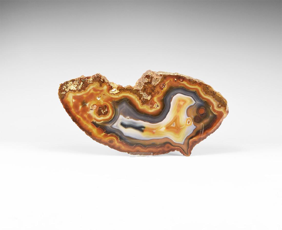 Large Polished Agate Slice. (1 of 1)