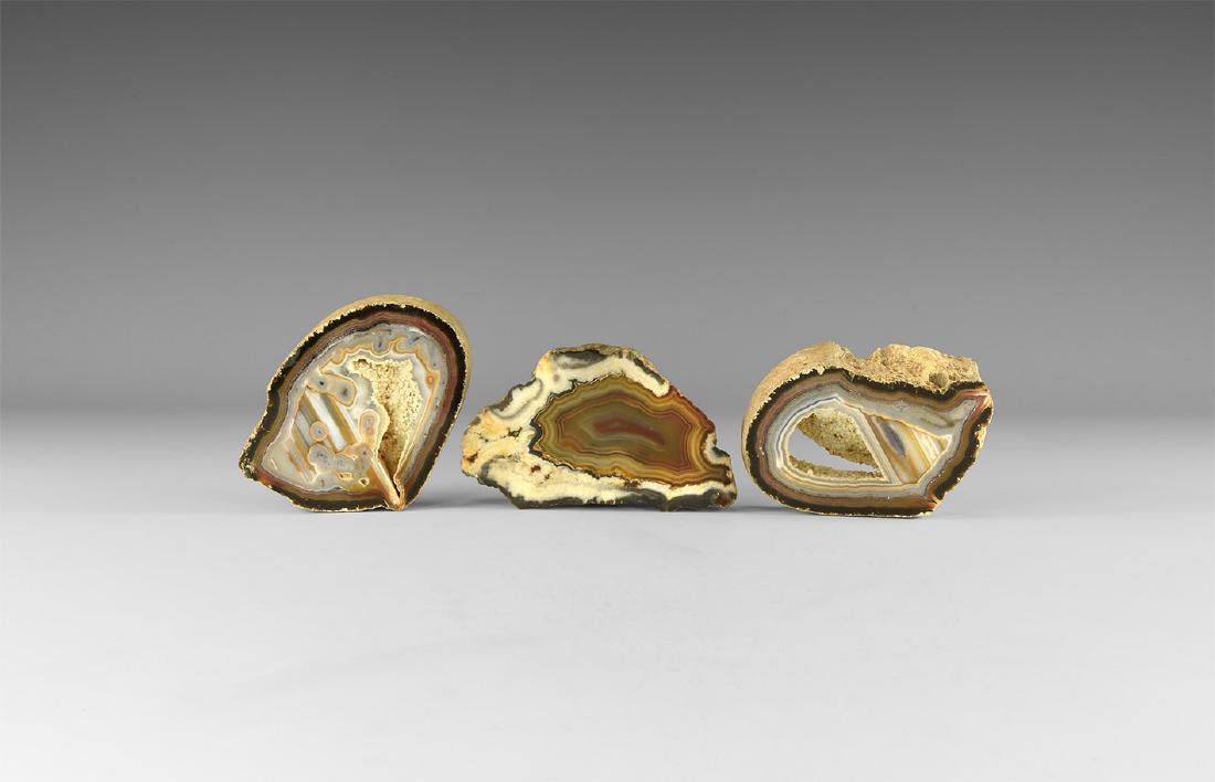 Polished Agate Slice Group. (1 of 1)