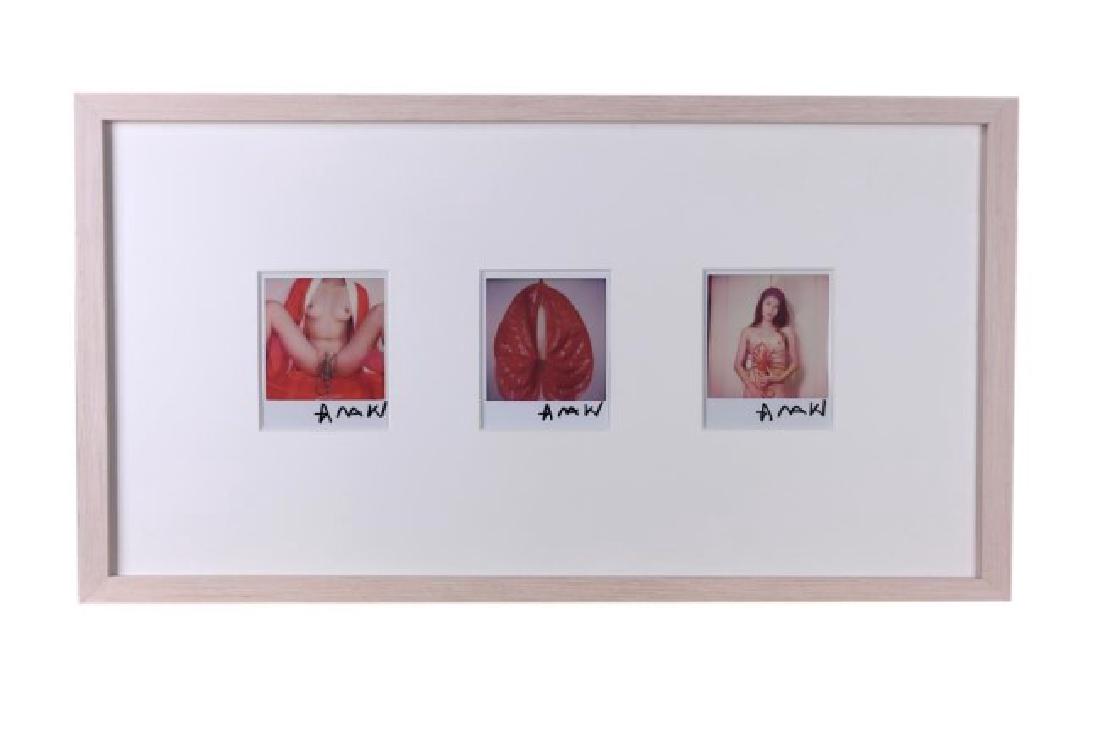 FRAMED SET OF 3 NOBUYOSHI ARAKI SIGNED POLAROIDS (1 of 2)