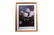 FRAMED STILL LIFE OIL PAINTING