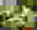 item-64867124=2