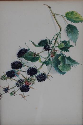 ACRYLIC PAINTING OF STILL LIFE: A still life is a work of art depicting mostly inanimate subject matter, typically commonplace objects which are either natural (food, flowers, dead animals, plants, rocks, shells, etc.) or man-made (