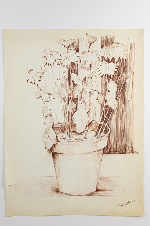 DRAWING OF A POTTED PLANT (1 of 3)
