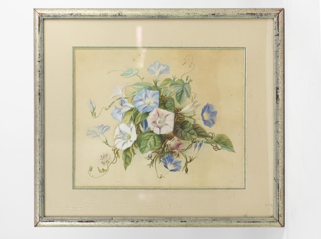 DRAWING OF MORNING GLORIES: Framed, depicts blossoming morning glories of blue, white and purple colors. Titled "Morning Glories," stated at the back to read after Pauline Guidery's work. Drawing Only: L: 14 in. H: 17 1/2 in. Wi