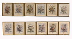 FRAMED SET OF TWELVE MONTHS OF FLOWERS