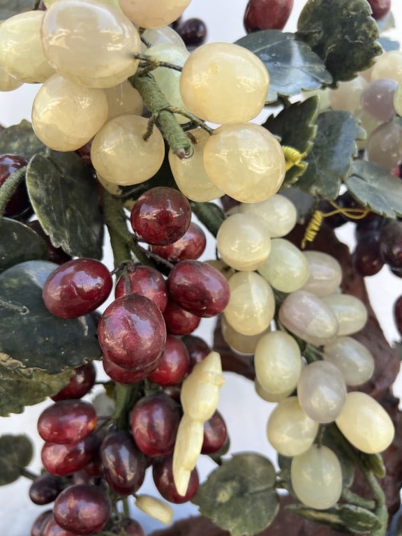 CHINESE JADE FRUIT TREE - 4