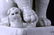 19TH C. BLANC DE CHINE PORCELAIN FIGURE DOG OF FOO - 6
