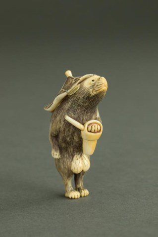 ANTIQUE JAPANESE IVORY NETSUKE OF A TANUKI: Wearing a large lotus leaf hat, carrying a spouted bucket of sake. Stained fur and details. H: 2 1/2 in.