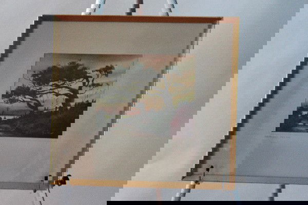 John Cuthbert Hare (1908-1978) Old Willows - Cape: John Cuthbert Hare (1908-1978) Old Willows - Cape Cod - 14"x15" watercolor