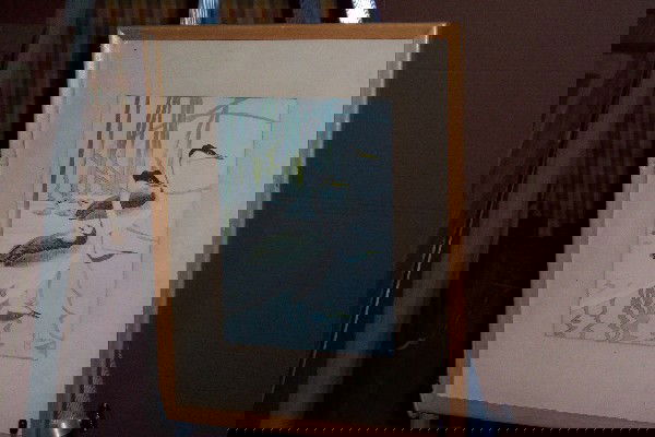 Francis Lee Jaques 1952 Western Grebe: Francis Lee Jaques 1952 Western Grebe