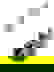 item-7966570=2