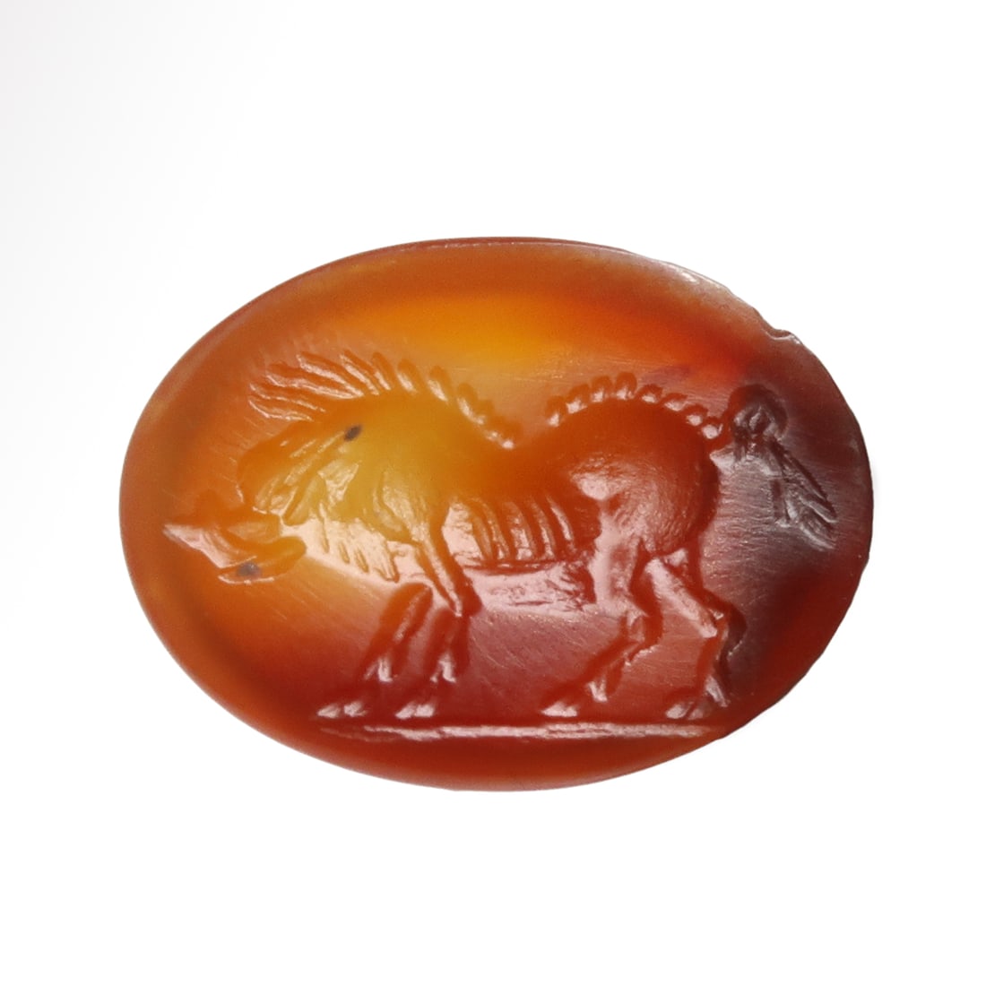 Roman Red Cornelian Intaglio with Wild Boar, c. 1st-2nd Century A.D.: Roman Red Cornelian Intaglio with Wild Boar, c. 1st-2nd Century A.D.Of bright orange cornelian, finely carved with a wild boar. Exquisite details. The wild boar was a recurring symbol in ancient Roman