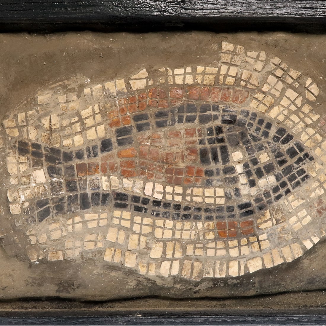 Roman Mosaic Panel with Fish, c. 3rd-4th Century A.D. (1 of 4)