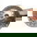 item-208651276=2