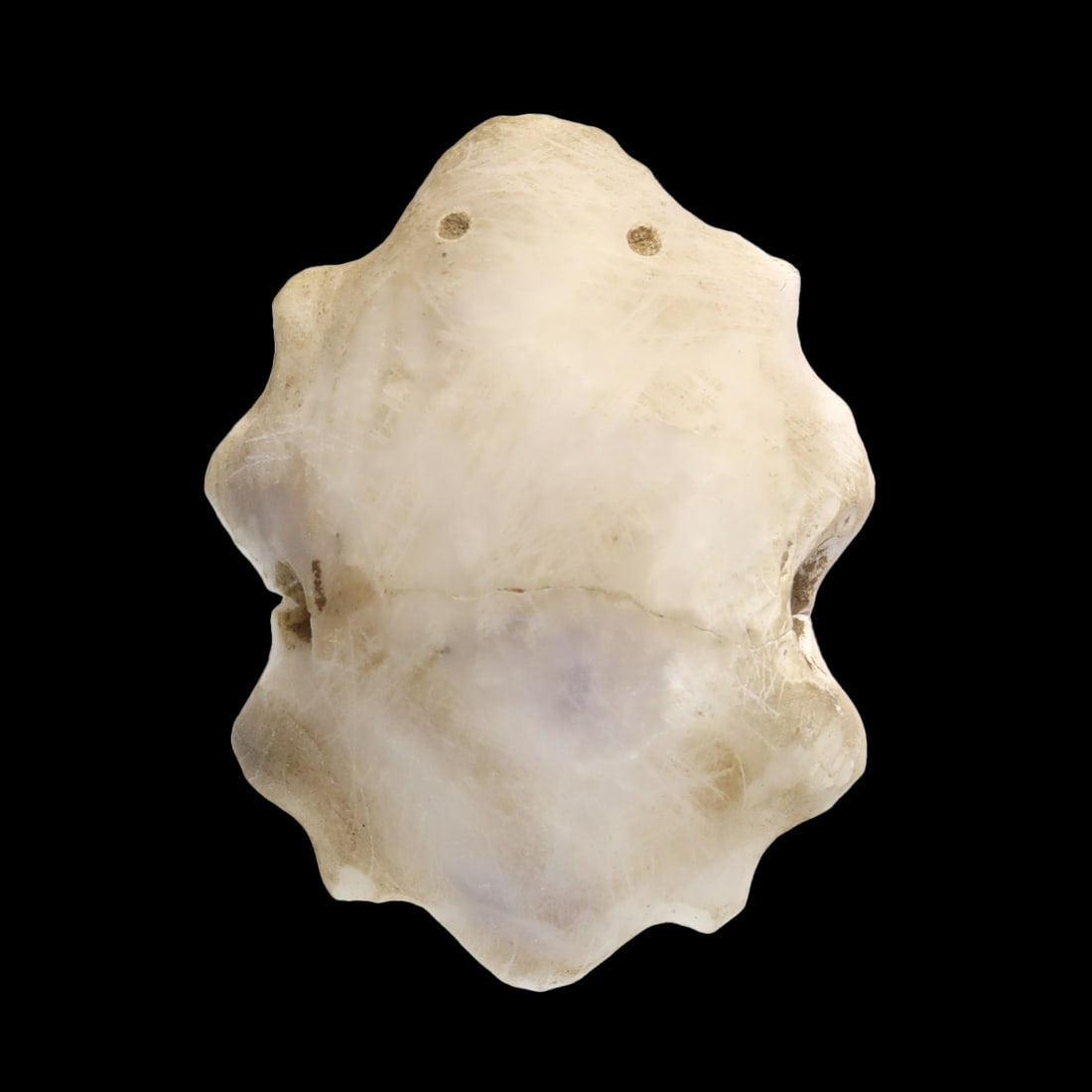 Sumerian Marble Frog Amulet, c. 2200-2000 B.C. (1 of 6)