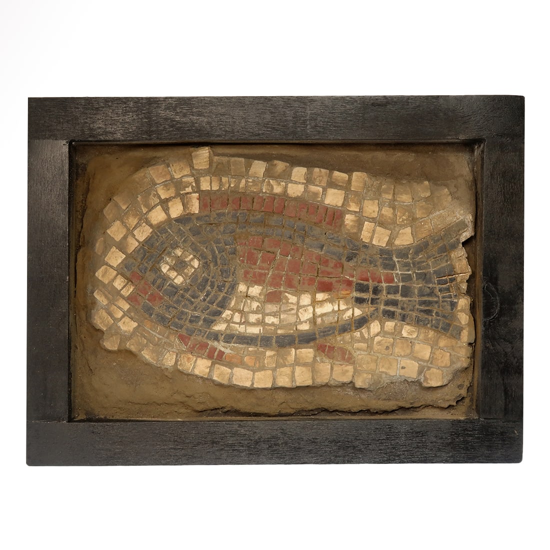Roman Mosaic Panel with Fish, c. 3rd-4th Century A.D.: Roman Mosaic Panel with Fish, c. 3rd-4th Century A.D.On white tesserae background, made of red and black stone tesserae, representing a fish. Exquisite. Part of a larger floor or wall mosaic. Re-set i